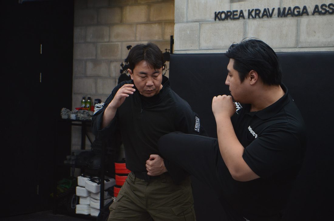 KKM Ku System technique demonstration